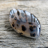 Flame shaped Montana agate cabochon