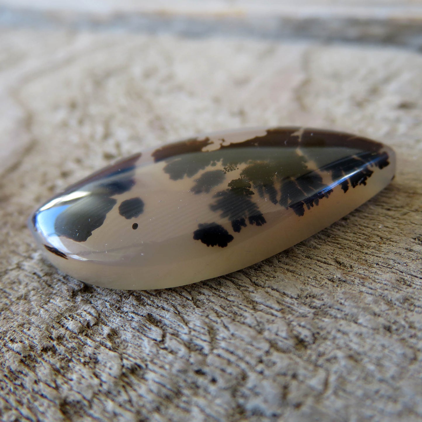 Large Montana agate cabochon side view