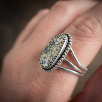 new lander ring