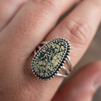 new lander ring